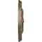 Ekena Millwork Amelia Ceiling Medallion (Fits Canopies up to 4 1/8"), Hand-Painted Warm Silver, 15 3/4"OD x 5/8"P CM16AMWSS - alternate 2